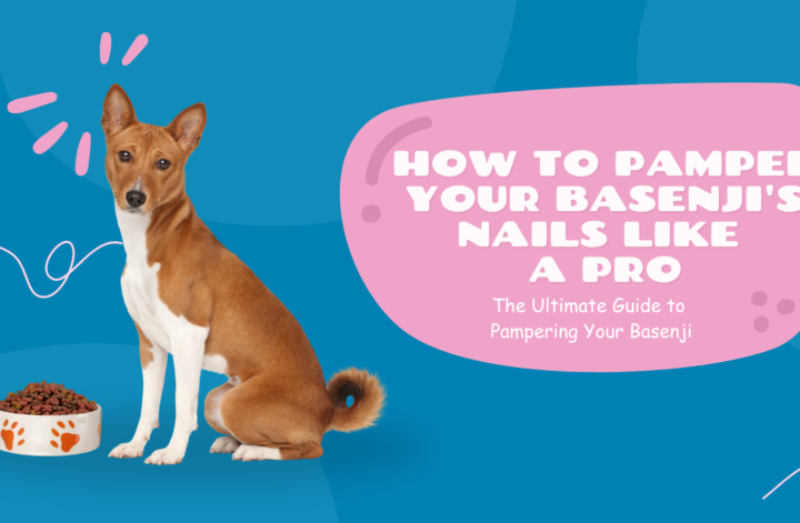 Step-by-step guide for pampering your Basenji with effective nail care techniques to ensure their comfort and health.