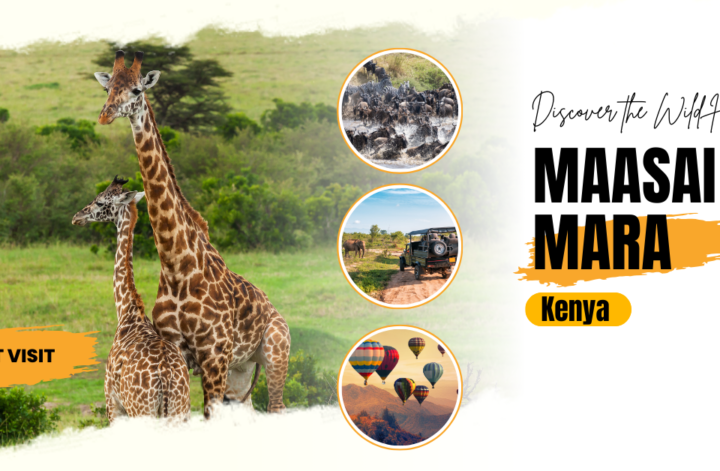 Poster for a Kenyan safari featuring wildlife and scenic landscapes, promoting adventure and exploration in the African wilderness.