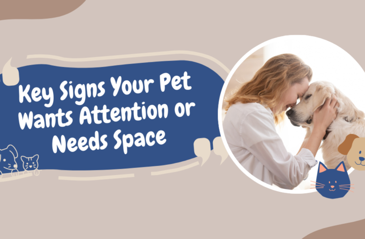 Various pets showing behaviors indicating their need for attention or space, like a dog leaning in and a cat retreating.