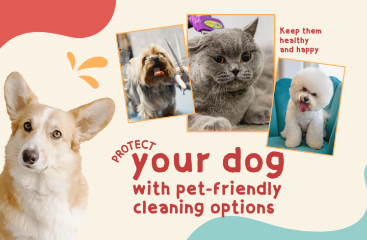 A colorful poster featuring a dog and cat, highlighting pet-friendly cleaning options with the phrase "Your Dog."