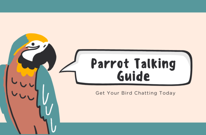 A colorful parrot perched on a branch, mimicking speech, showcasing its ability to talk and engage with its surroundings.