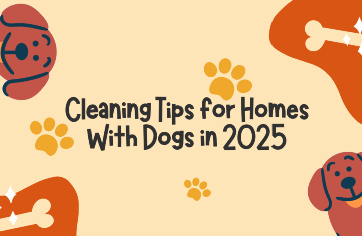 A list of cleaning tips for homes with dogs, featuring practical advice and solutions for pet owners from 2015.